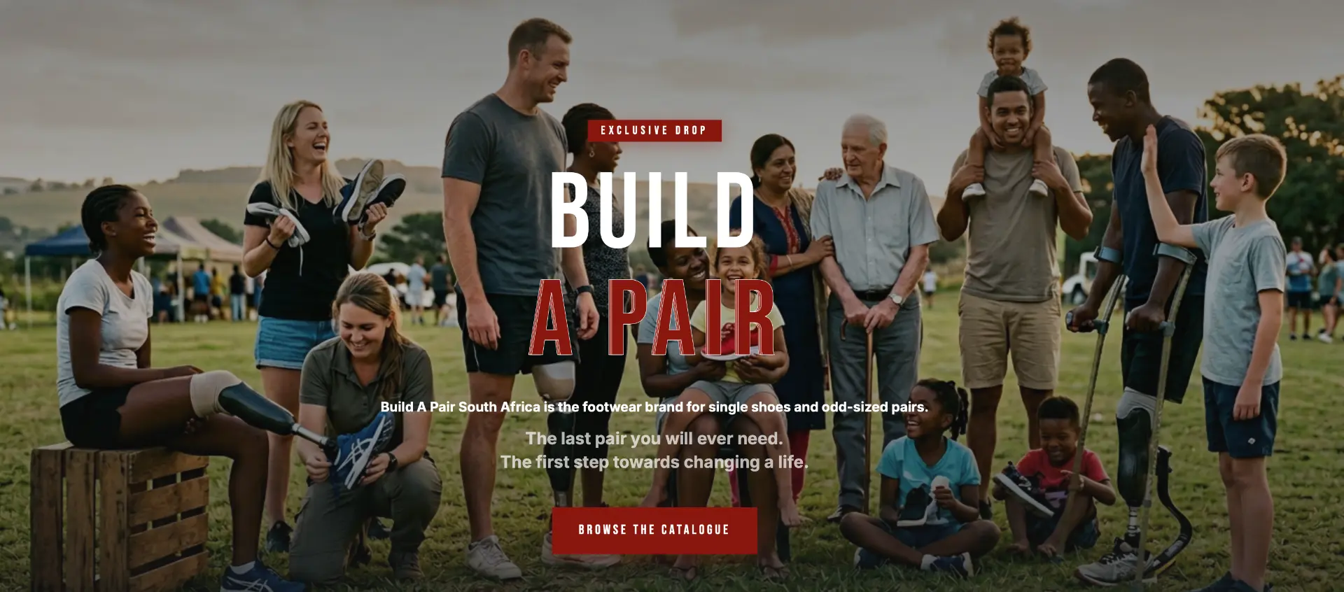 Build A Pair project